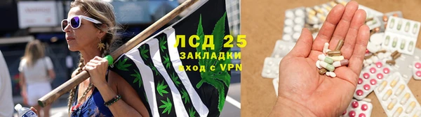 марки nbome Дмитриев