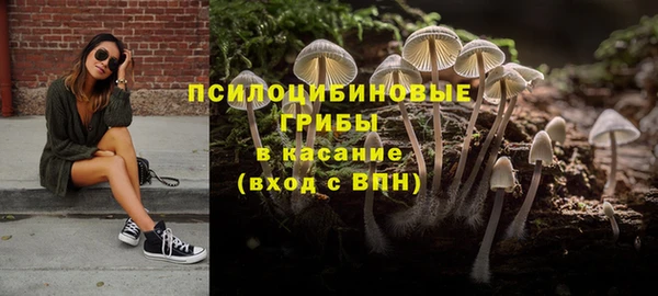 тгк Абаза