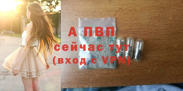 тгк Абаза